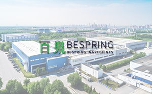 Company Introduction