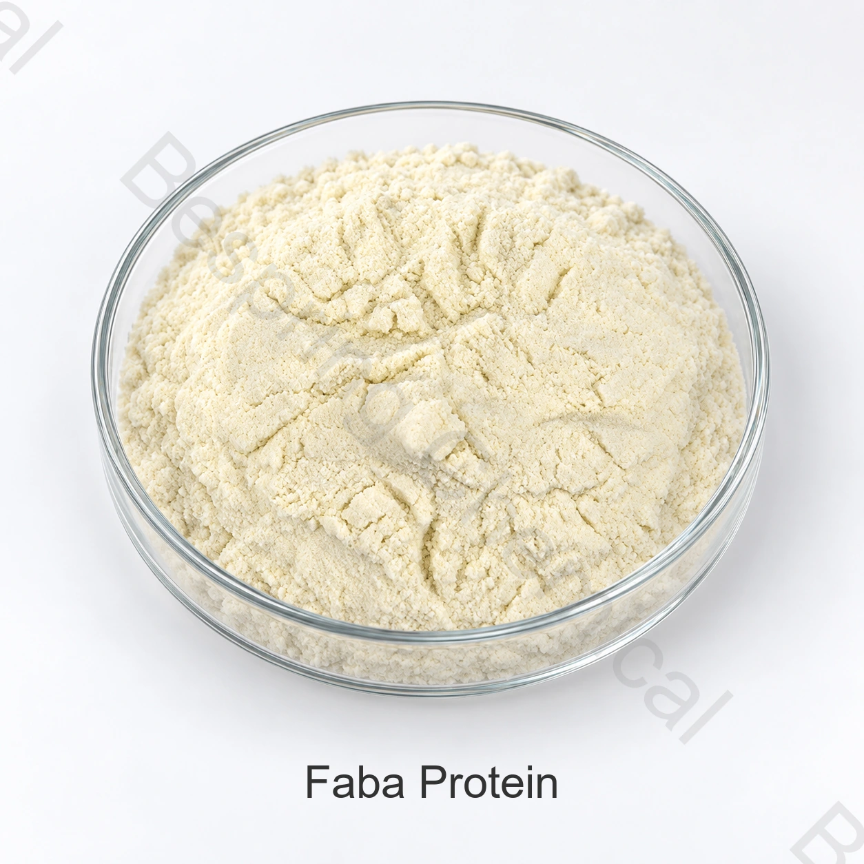 產品樣品:食品級蠶豆蛋白